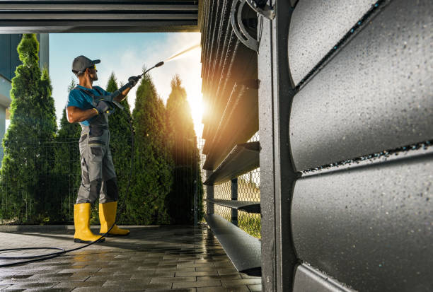 Best Roof Power Washing Services  in Mazon, IL