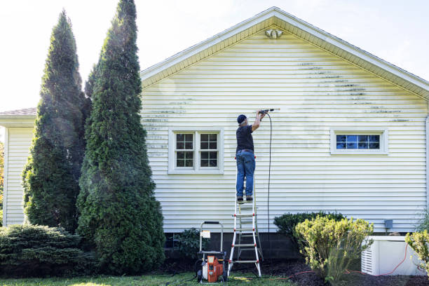 Best Sidewalk Pressure Washing  in Mazon, IL