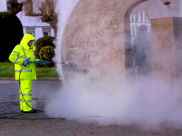 Best Garage Pressure Washing  in Mazon, IL