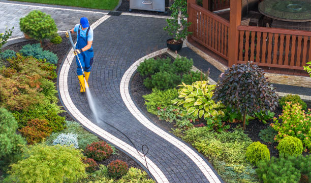 Best Affordable Power Washing  in Mazon, IL